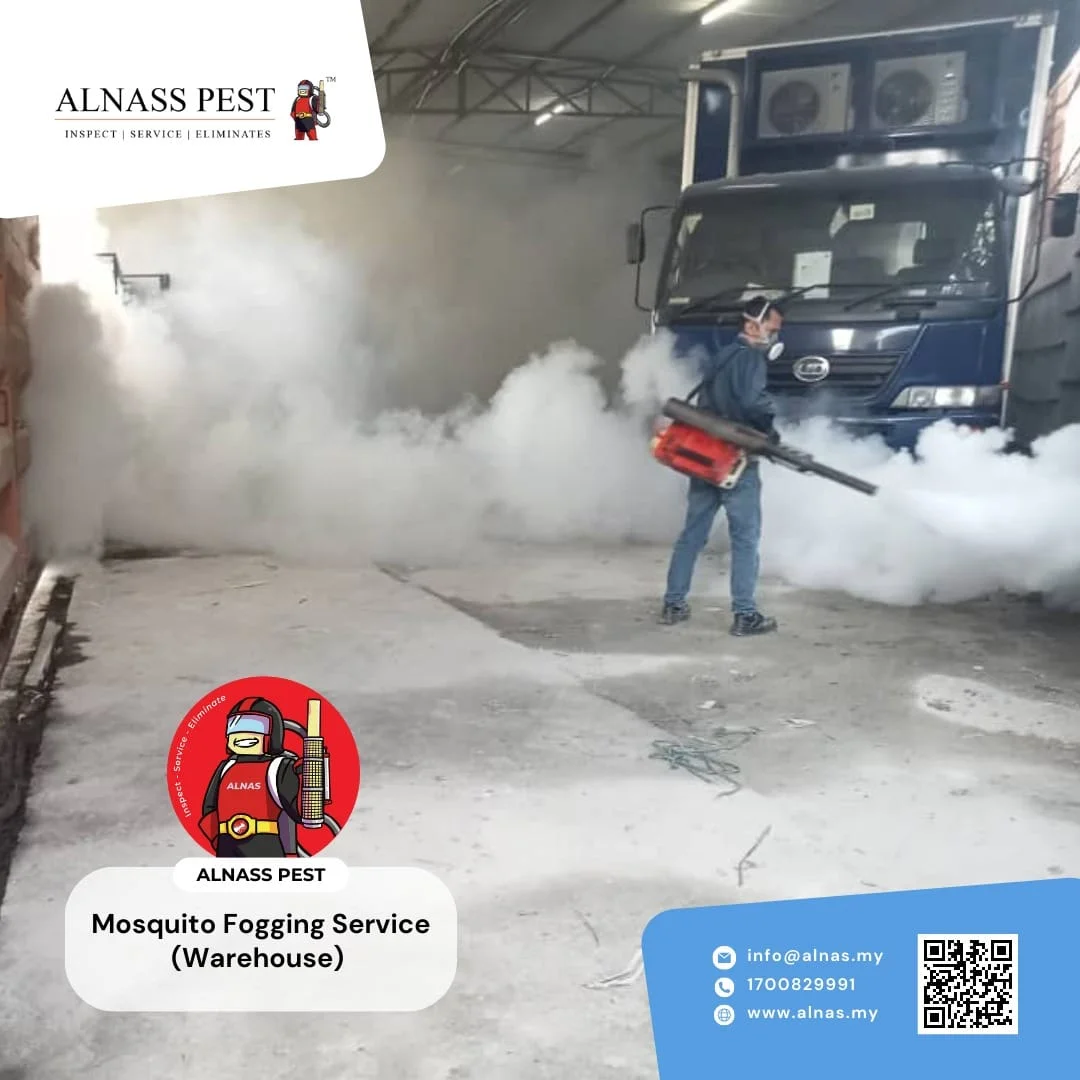 Termite treatment
