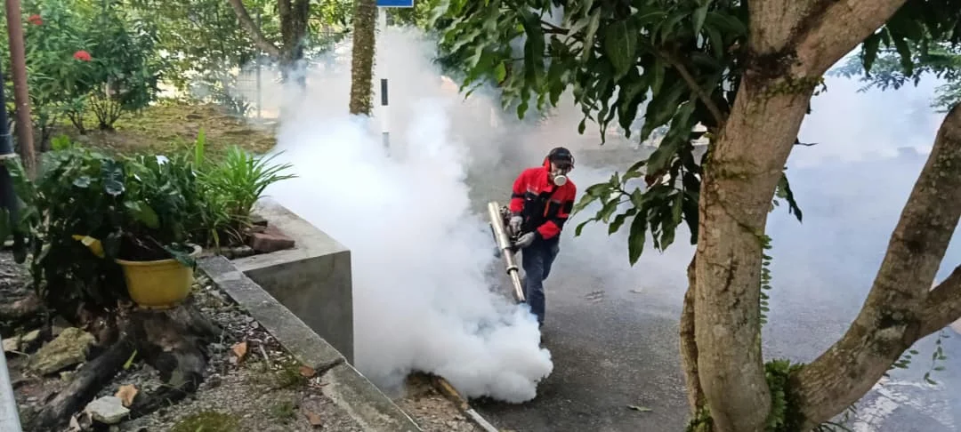 Mosquitoes Fogging Service (1)
