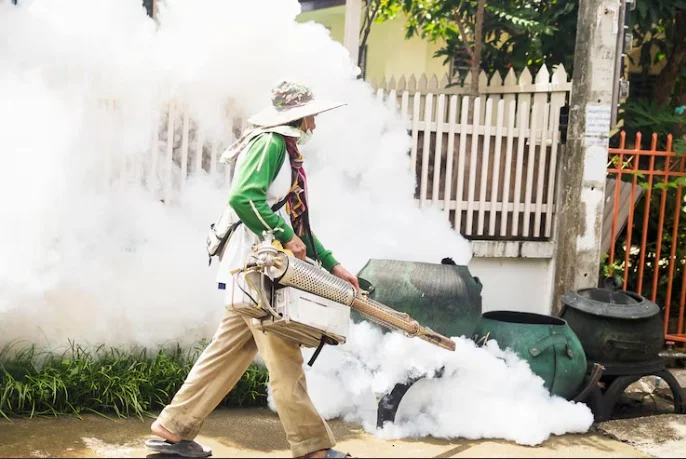 mosquitto fogging service